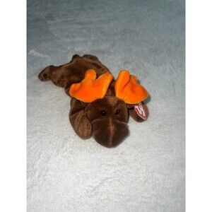 Ty Beanie chocolate the Moose